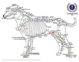 CuraCore-VET-Canine-Acupuncture-Points-Lateral-View-300x237--1-.webp